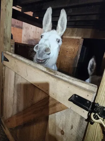 126 Simeon Dean Road Shaftsbury VT 05262