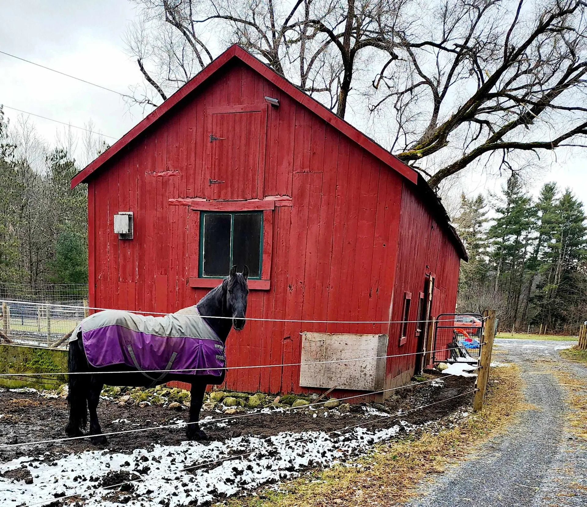 126 Simeon Dean Road Shaftsbury VT 05262-0