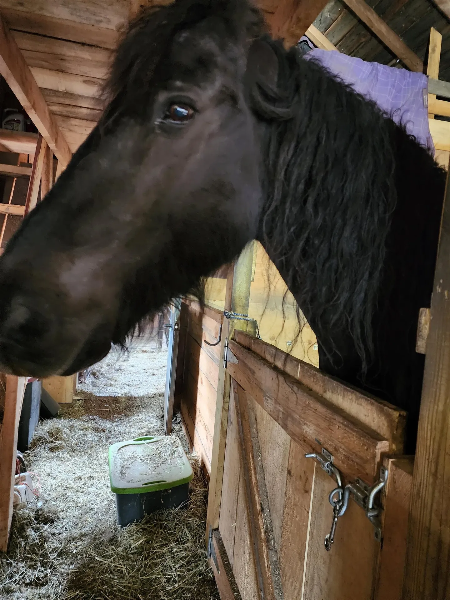 126 Simeon Dean Road Shaftsbury VT 05262-0