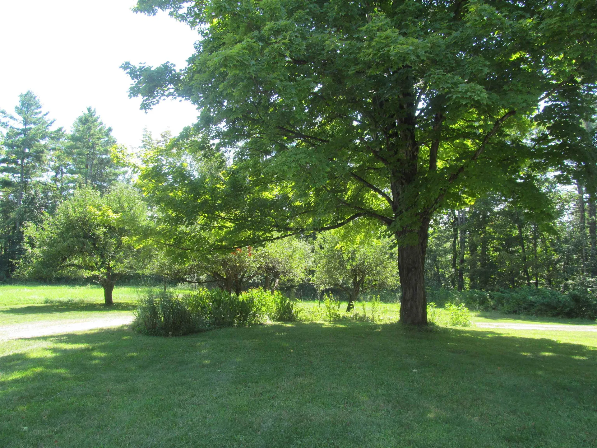 126 Simeon Dean Road Shaftsbury VT 05262-0