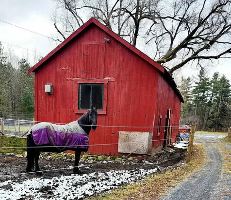 126 Simeon Dean Road Shaftsbury VT 05262-0