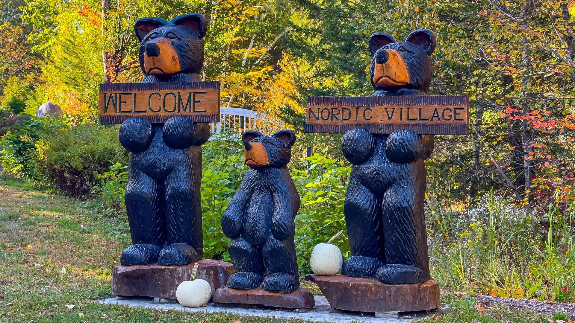 F33 Nordic Village Lane Bartlett NH 03812