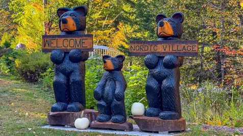 F33 Nordic Village Lane Bartlett NH 03812