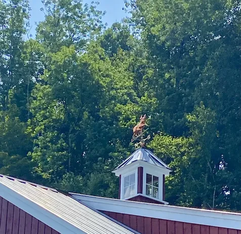 3789 Dorset West Road Dorset VT 05251