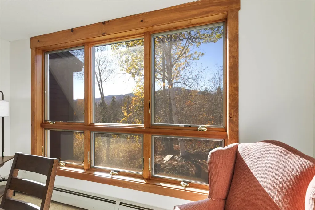 106 Silver Birch Dover VT 05356