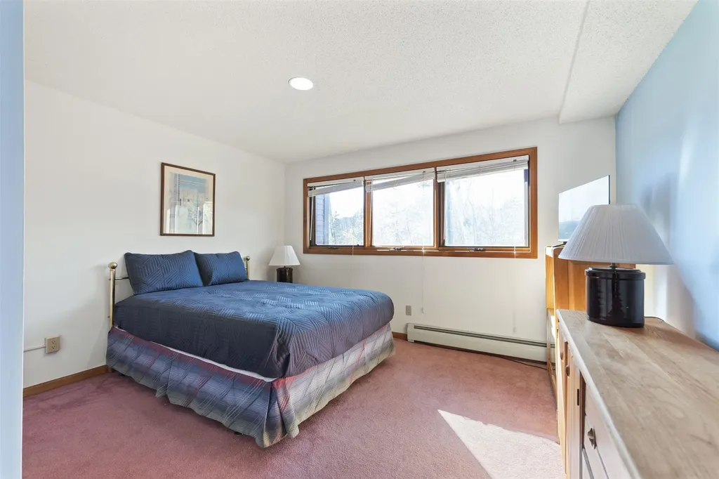 106 Silver Birch Dover VT 05356