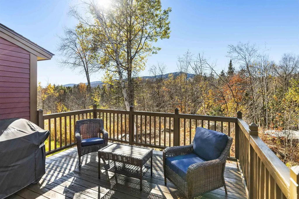 106 Silver Birch Dover VT 05356