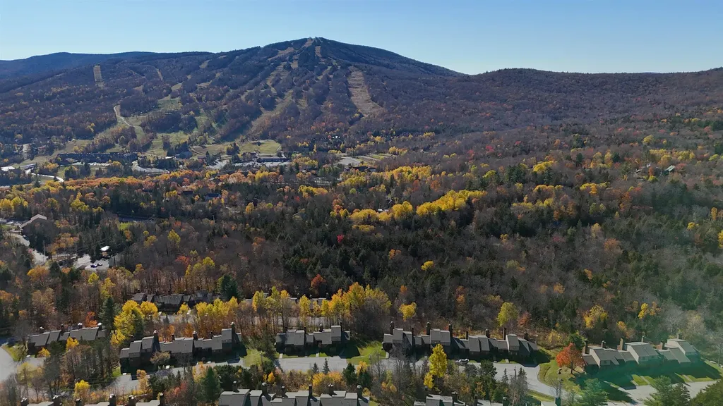 106 Silver Birch Dover VT 05356