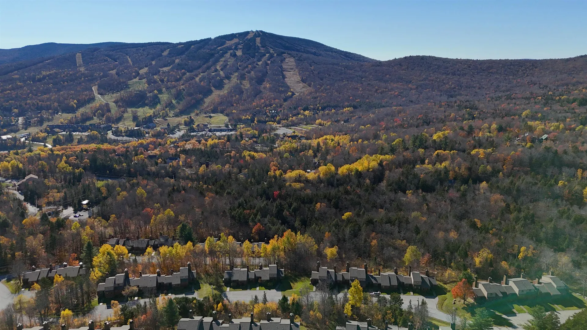 106 Silver Birch Dover VT 05356