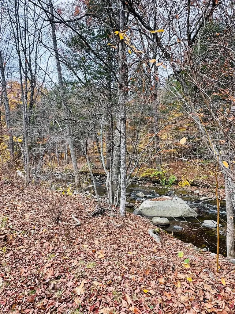 310 Route 30 Newfane VT 05345