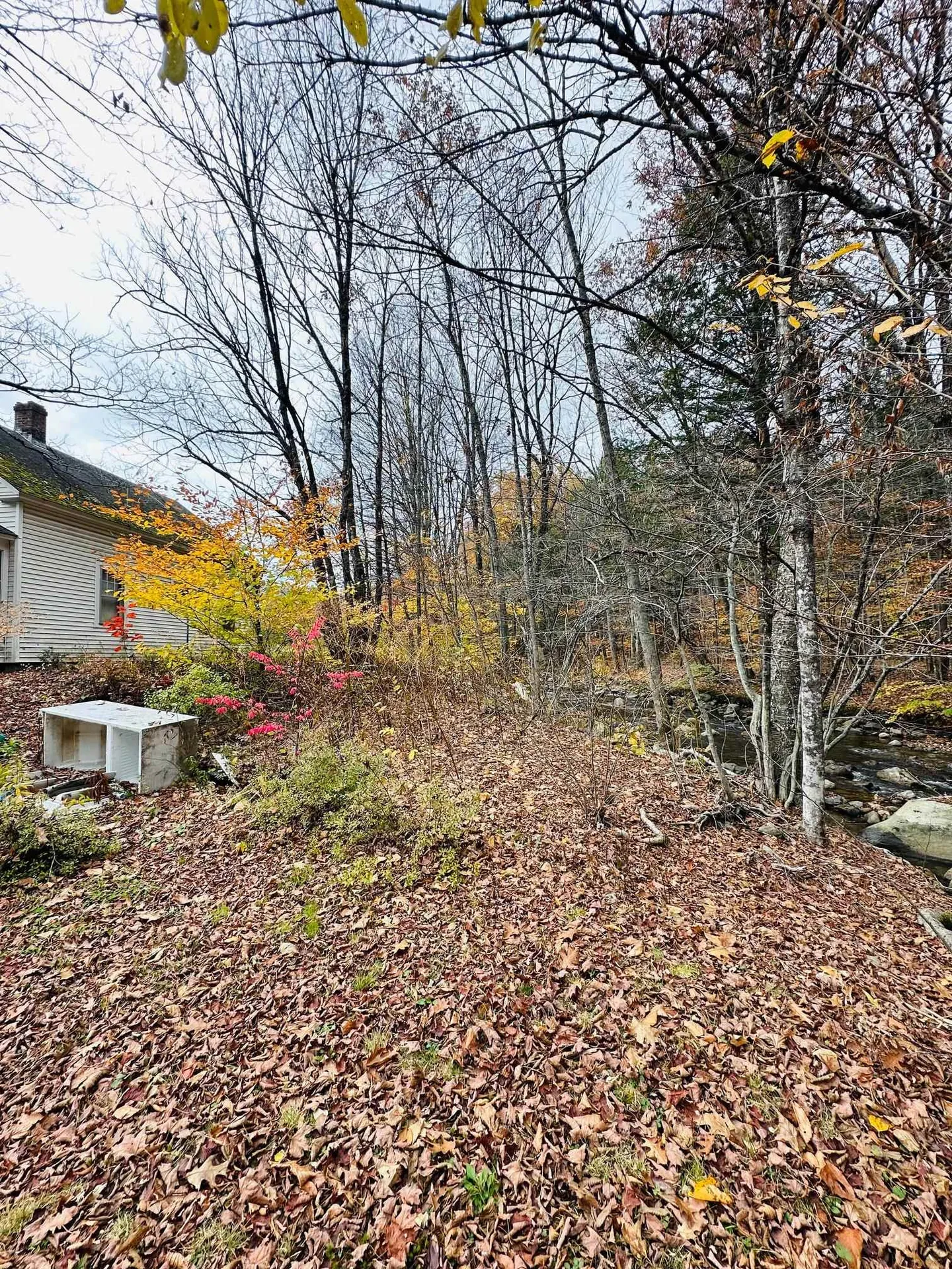 310 Route 30 Newfane VT 05345