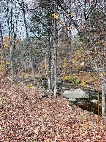 310 Route 30 Newfane VT 05345