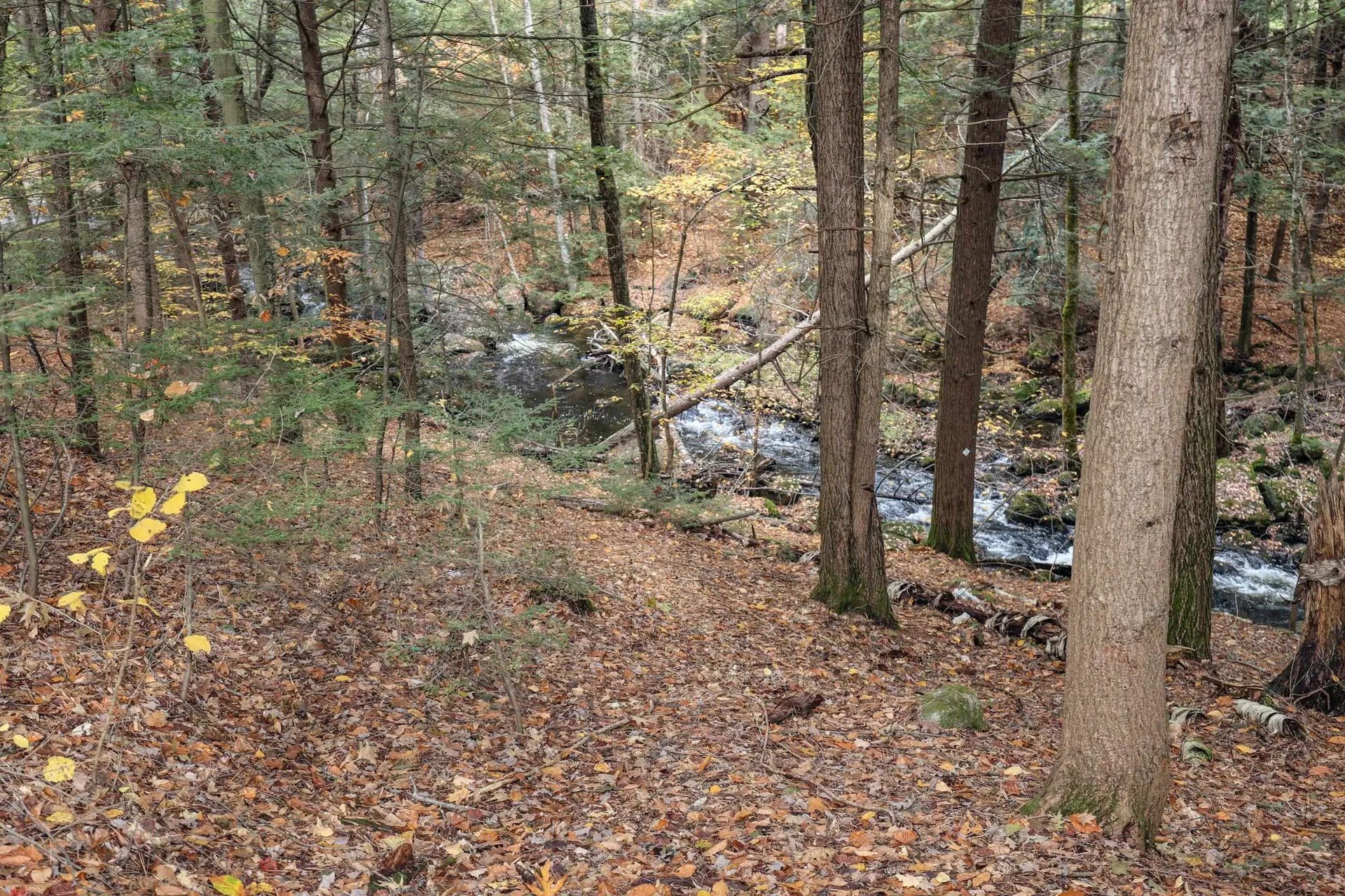 6 Birch Tree Lane Hillsborough NH 03244