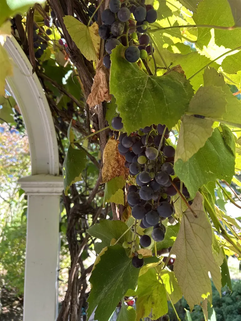 540 Ocean Road Portsmouth NH 03801