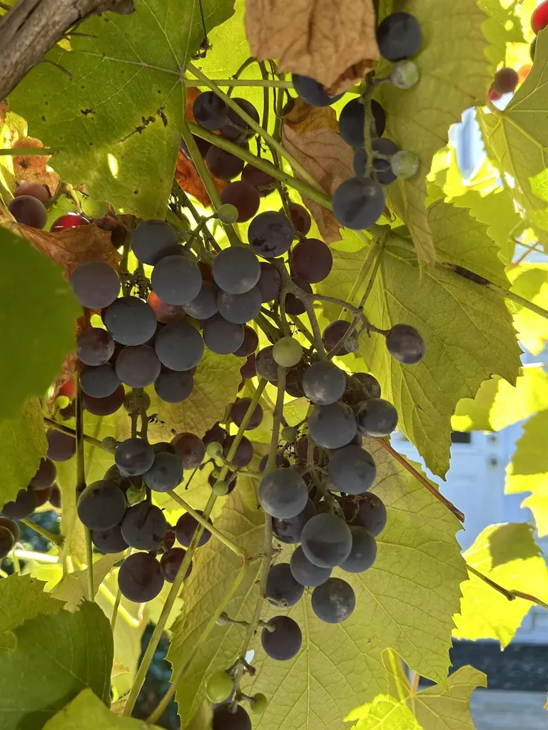 540 Ocean Road Portsmouth NH 03801