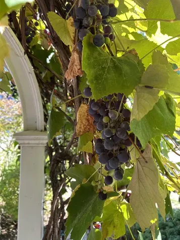 540 Ocean Road Portsmouth NH 03801