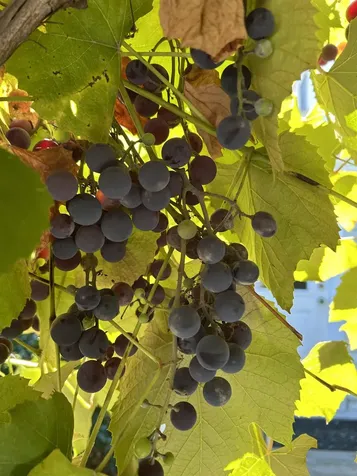 540 Ocean Road Portsmouth NH 03801