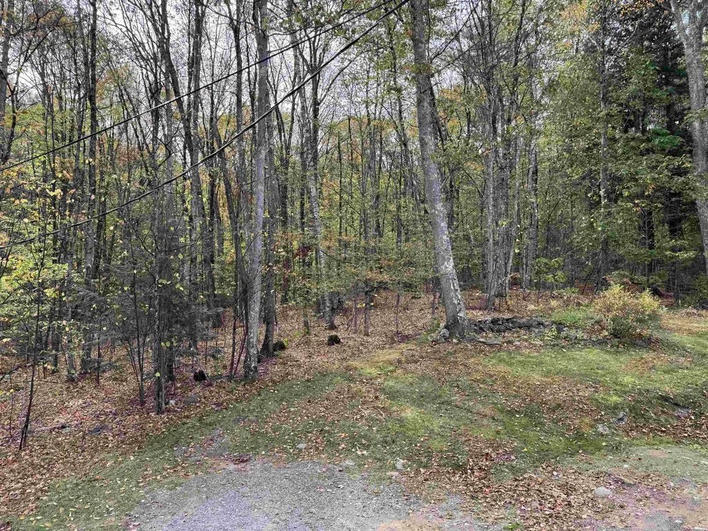 96 Maclean Road Alstead NH 03602