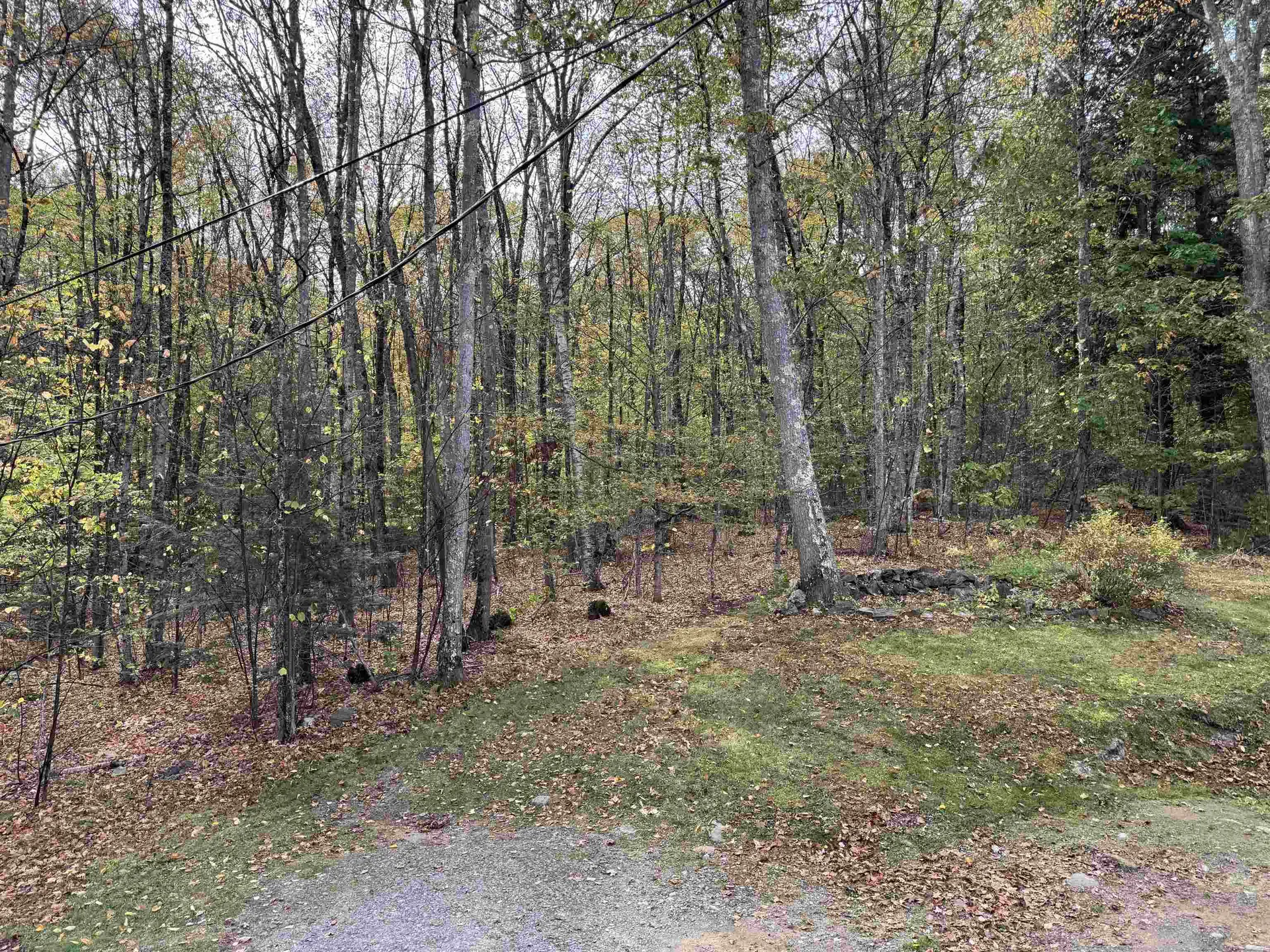 96 Maclean Road Alstead NH 03602