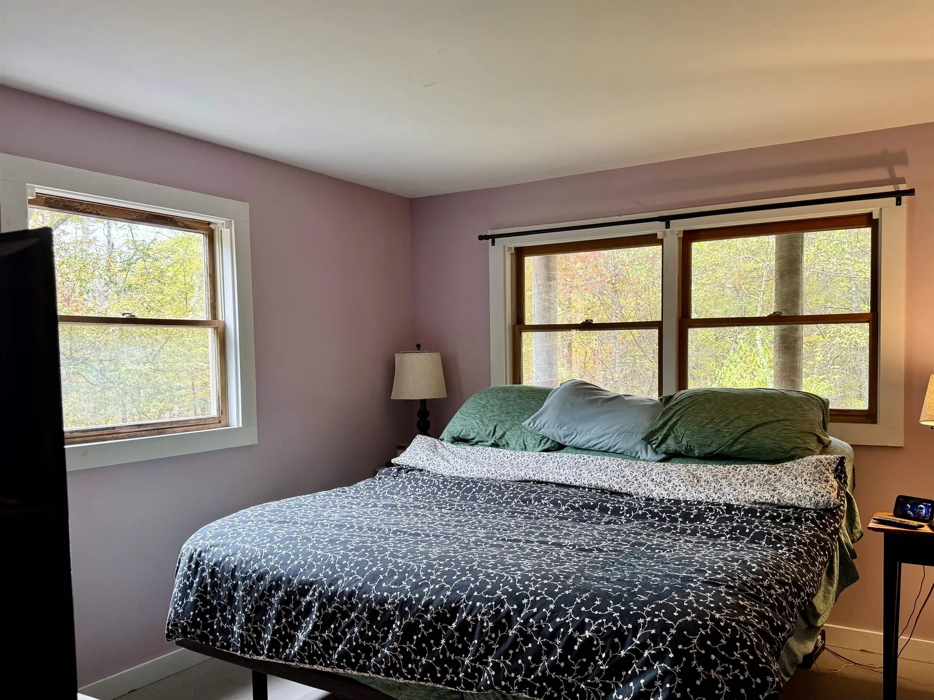 96 Maclean Road Alstead NH 03602