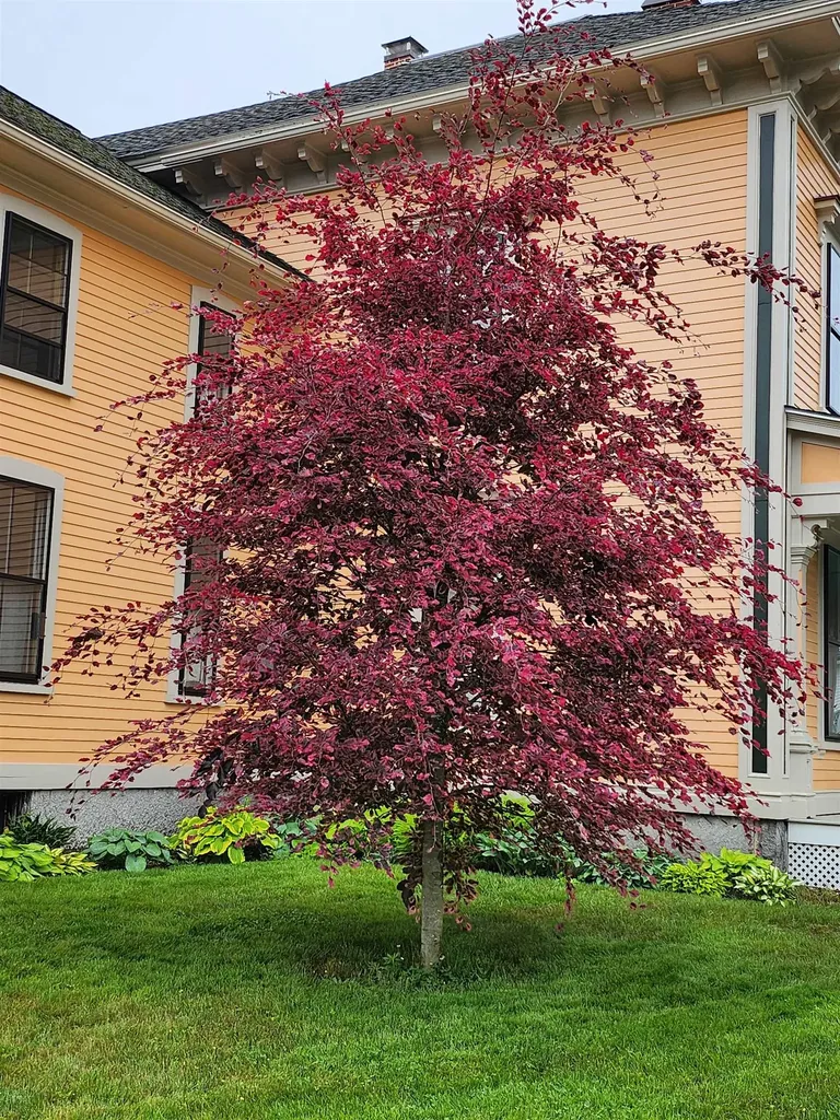 527 Hanover Street Manchester NH 03104