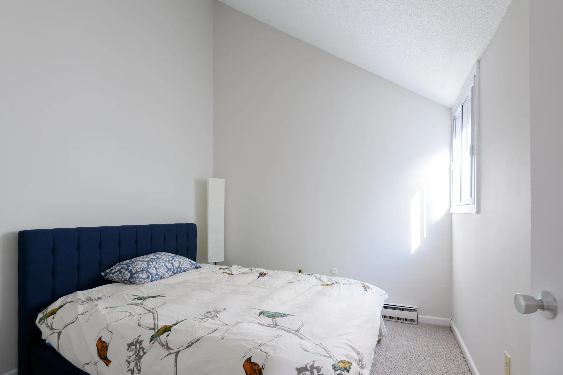 20 Condo Road Campton NH 03223