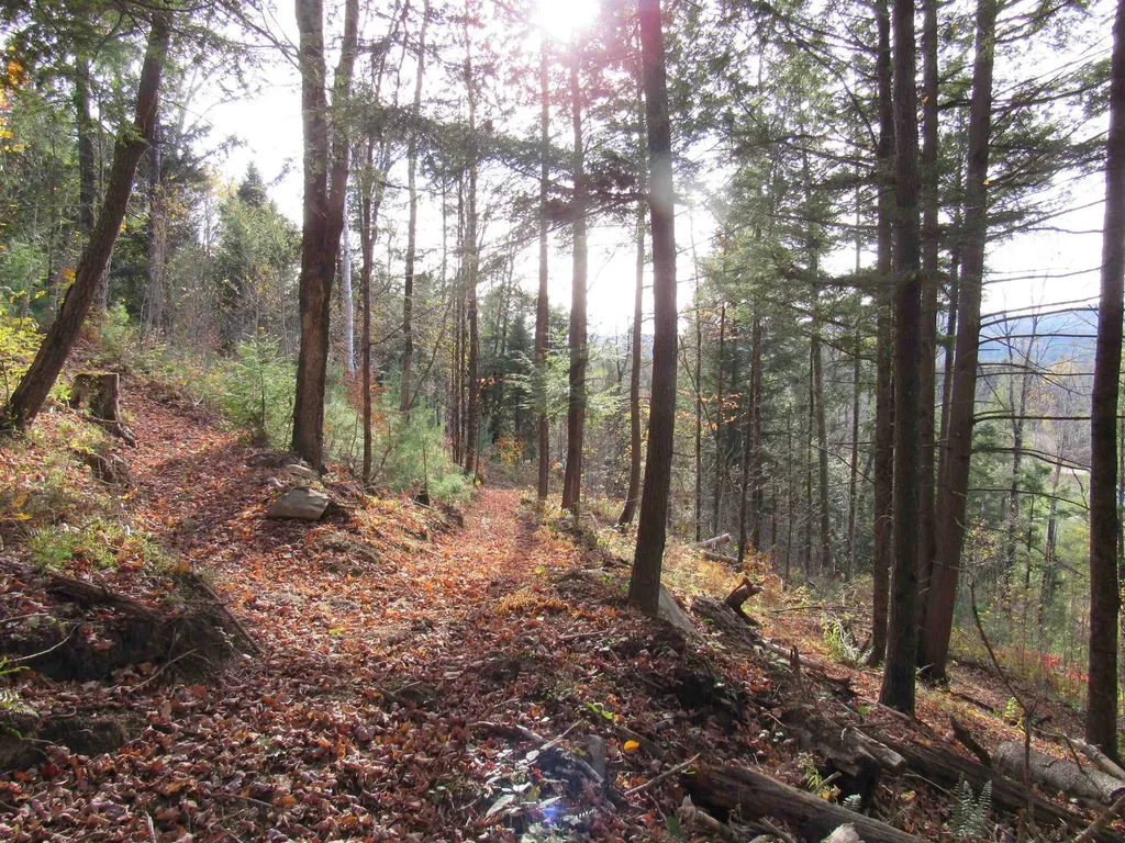 812 Brown Farm Road Lyndon VT 05851