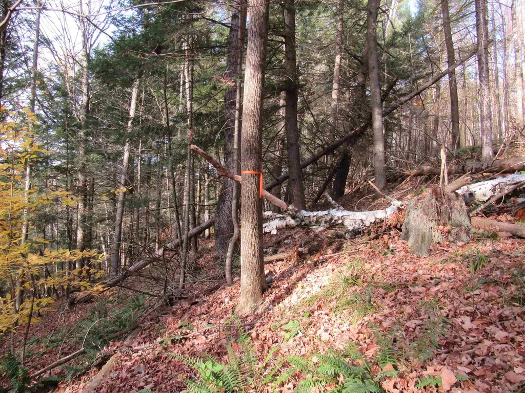 812 Brown Farm Road Lyndon VT 05851