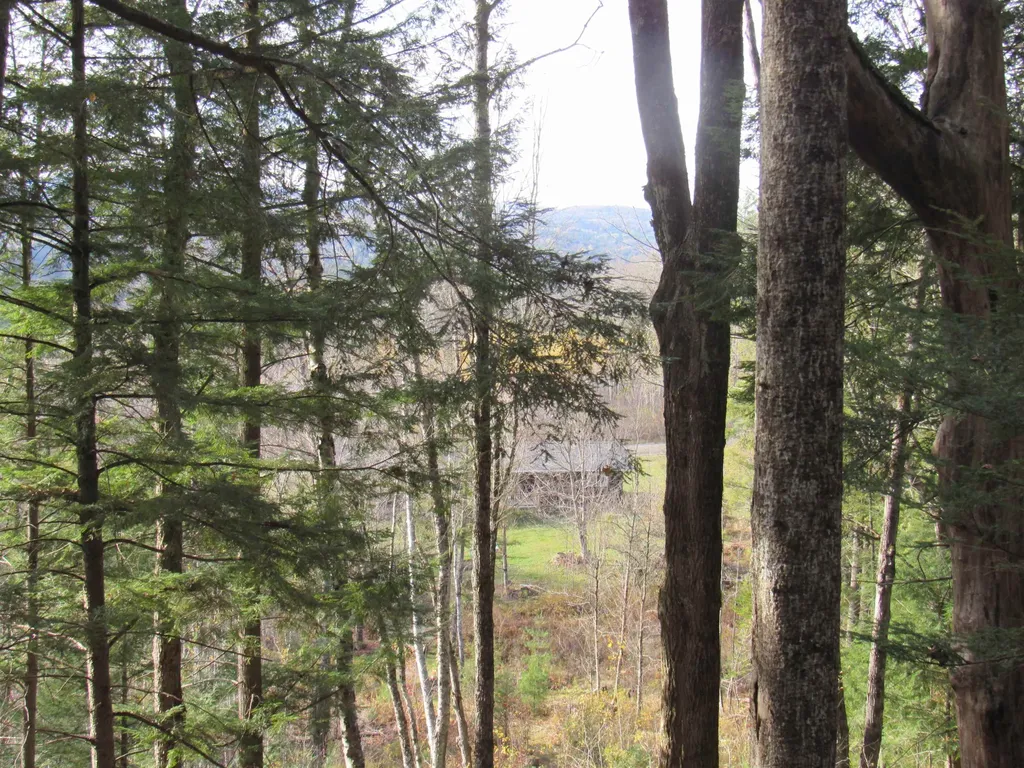 812 Brown Farm Road Lyndon VT 05851