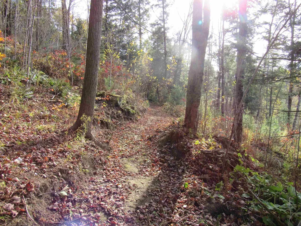 812 Brown Farm Road Lyndon VT 05851