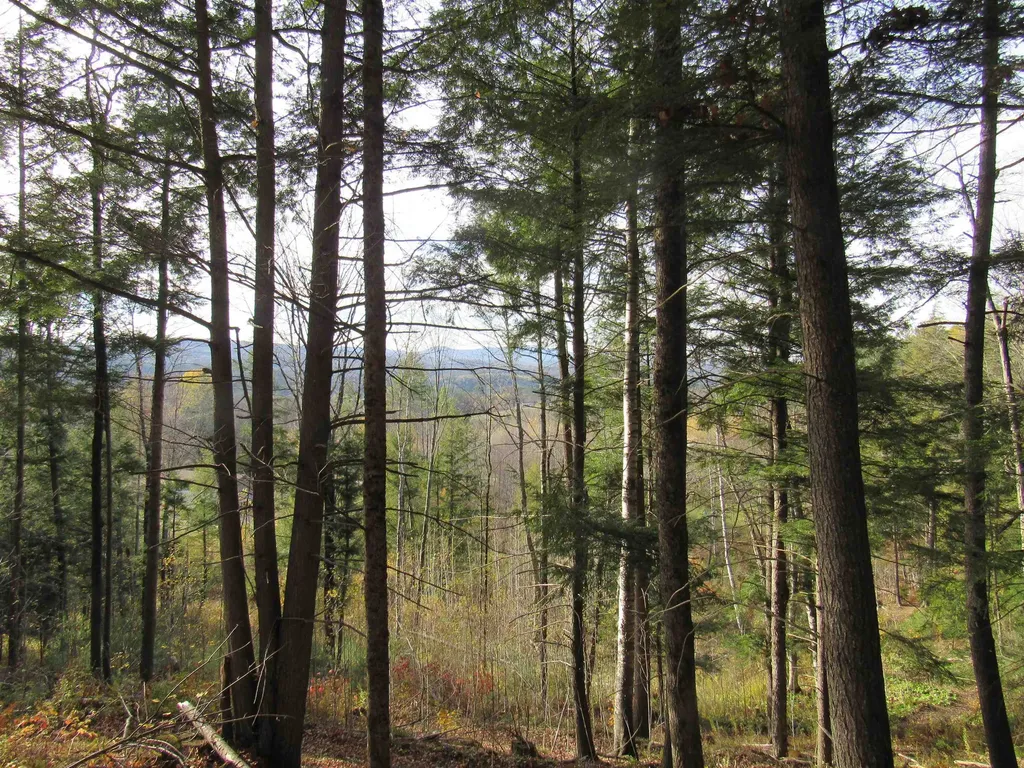 812 Brown Farm Road Lyndon VT 05851