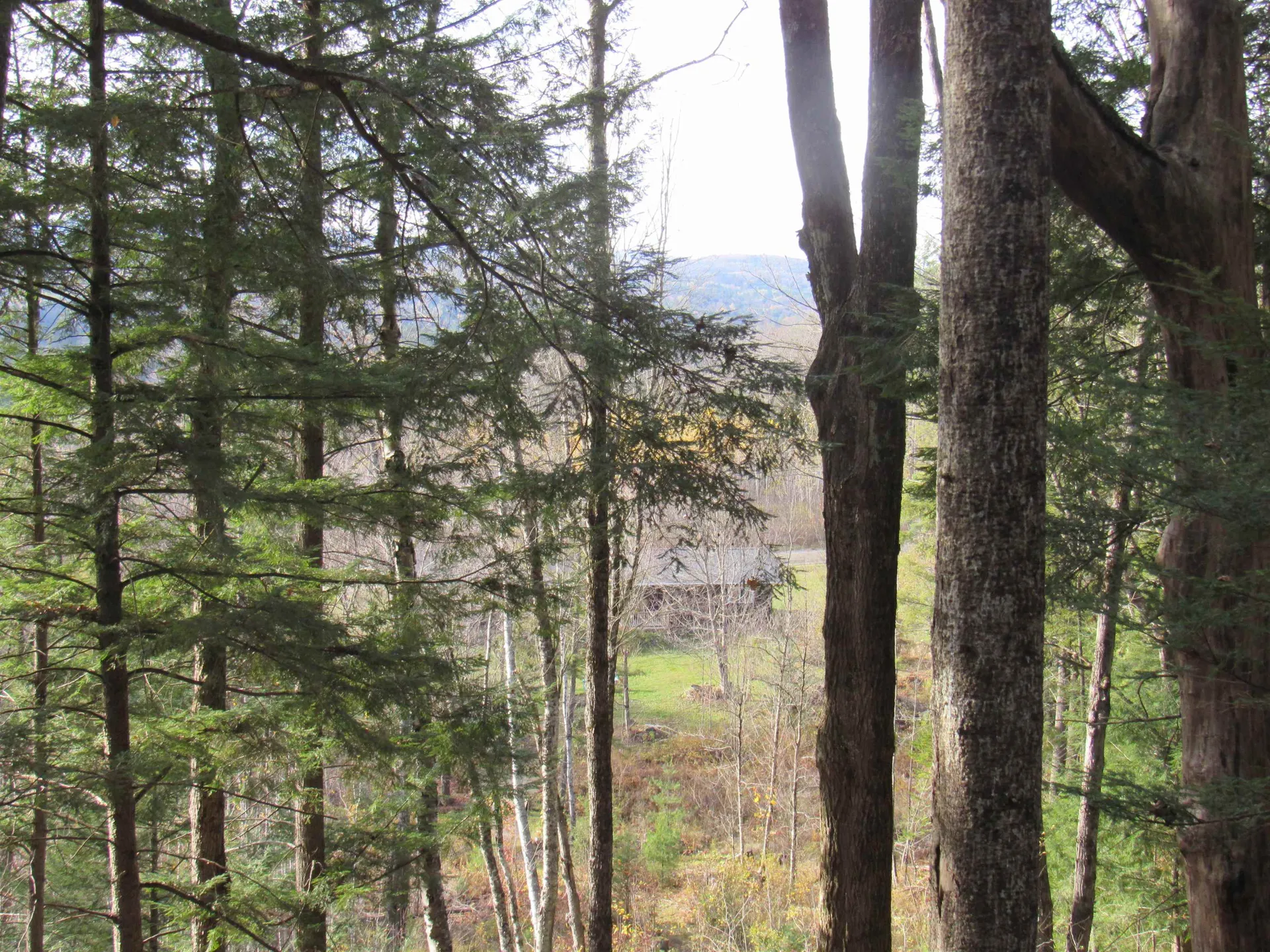 812 Brown Farm Road Lyndon VT 05851