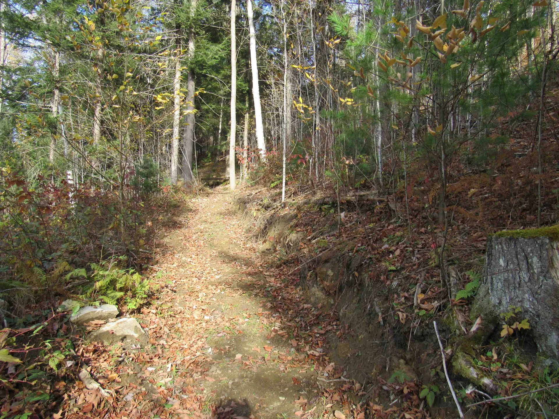 812 Brown Farm Road Lyndon VT 05851