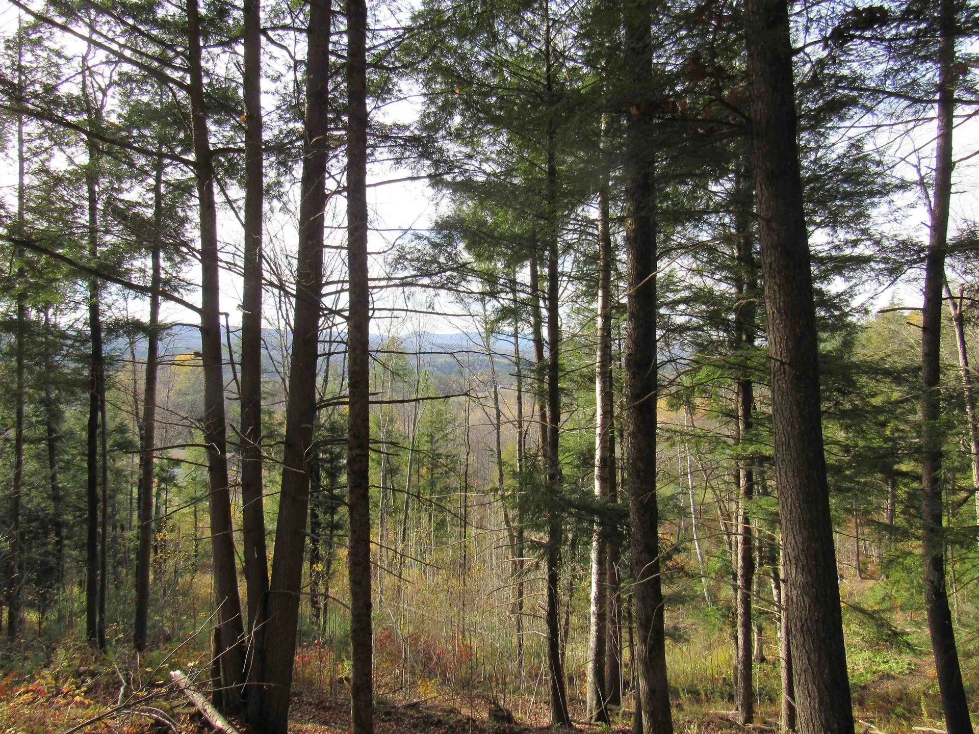 812 Brown Farm Road Lyndon VT 05851