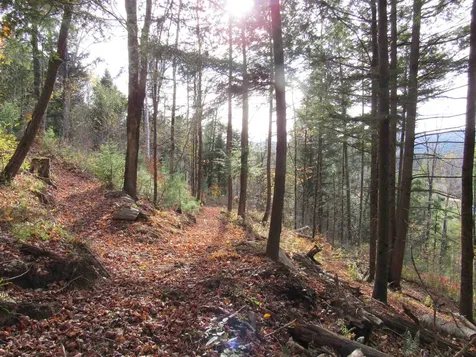 812 Brown Farm Road Lyndon VT 05851