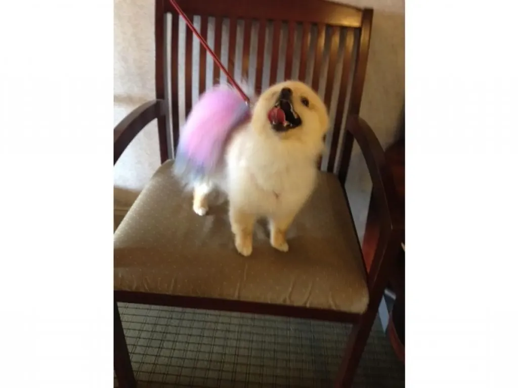 167 Eastern Avenue Manchester NH 03104