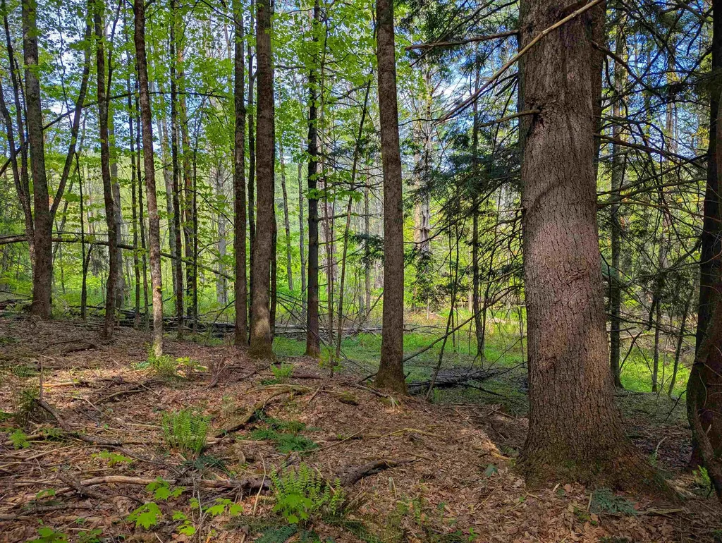 14 Brickyard Road Dover VT 05341