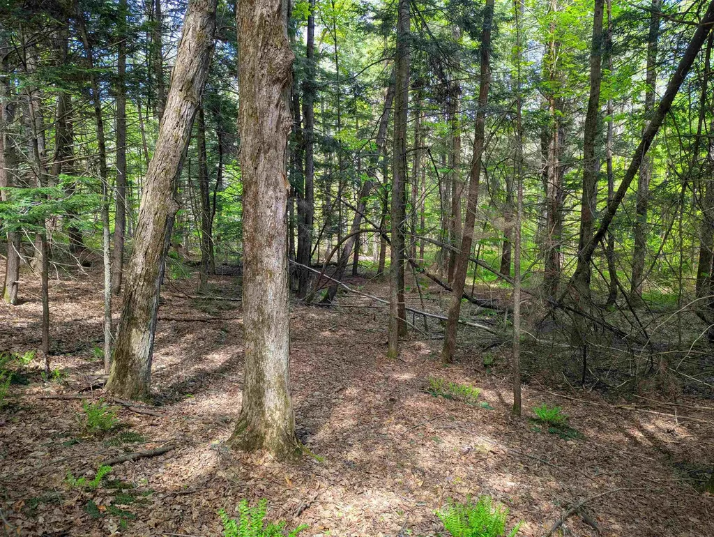 14 Brickyard Road Dover VT 05341