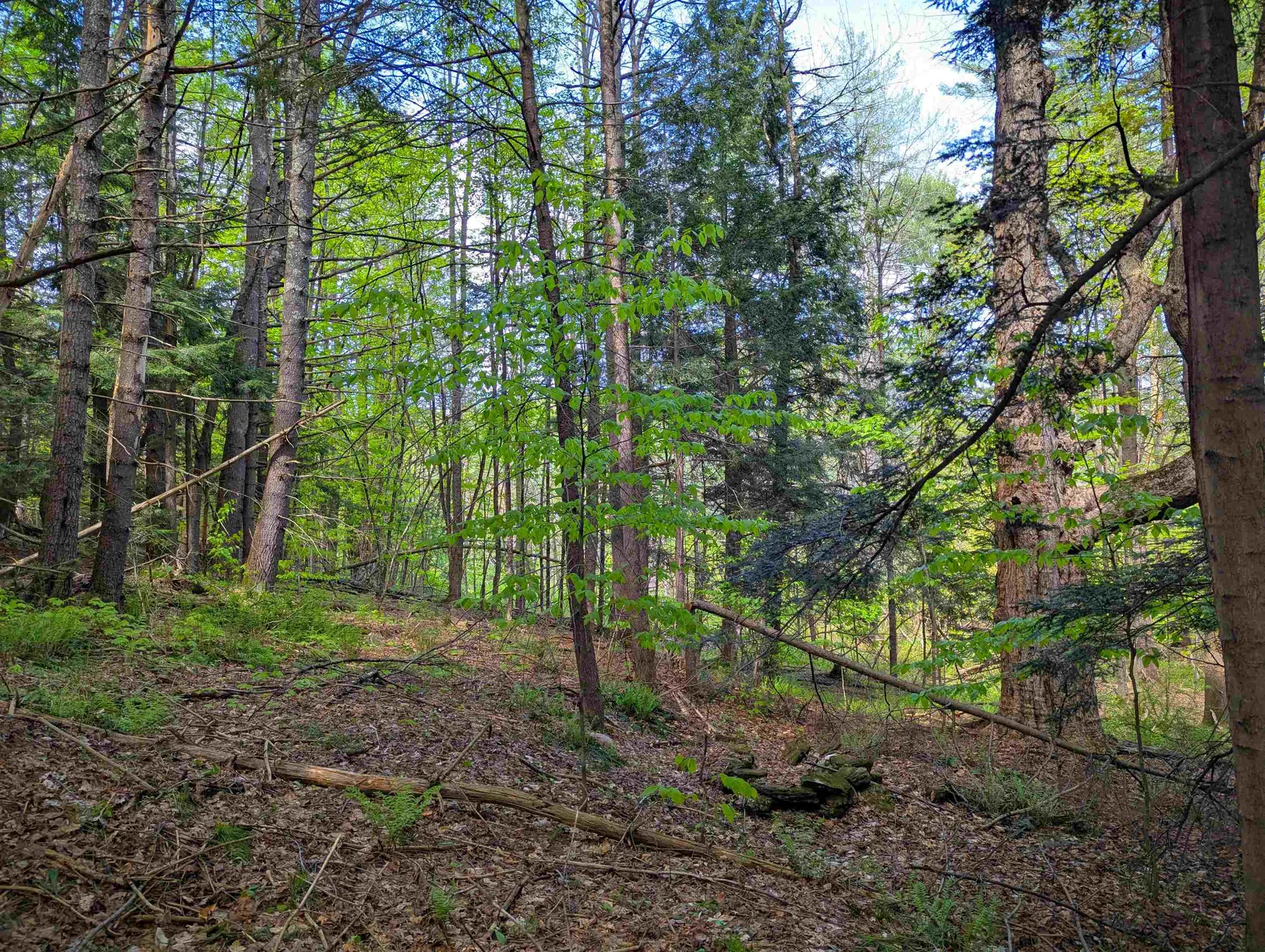 14 Brickyard Road Dover VT 05341