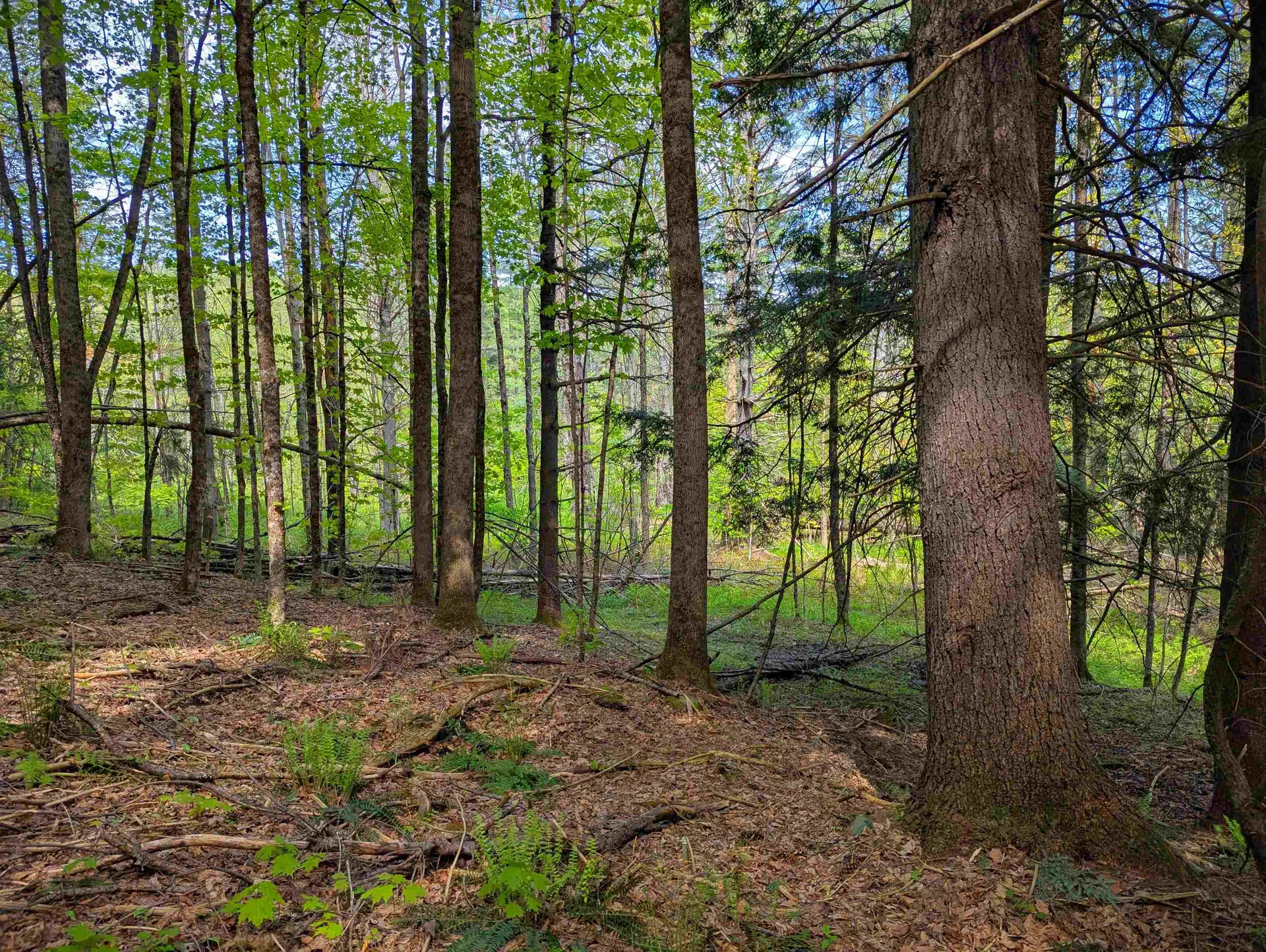 14 Brickyard Road Dover VT 05341