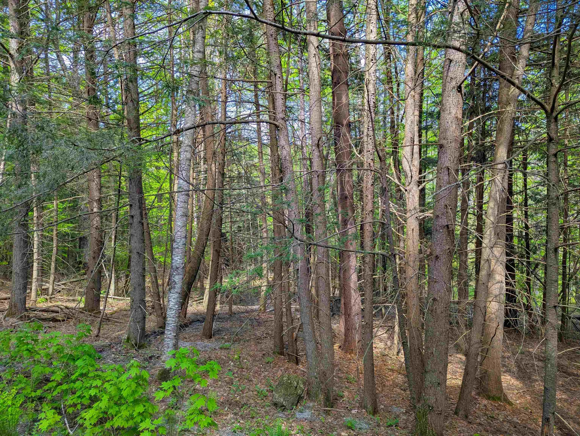 14 Brickyard Road Dover VT 05341