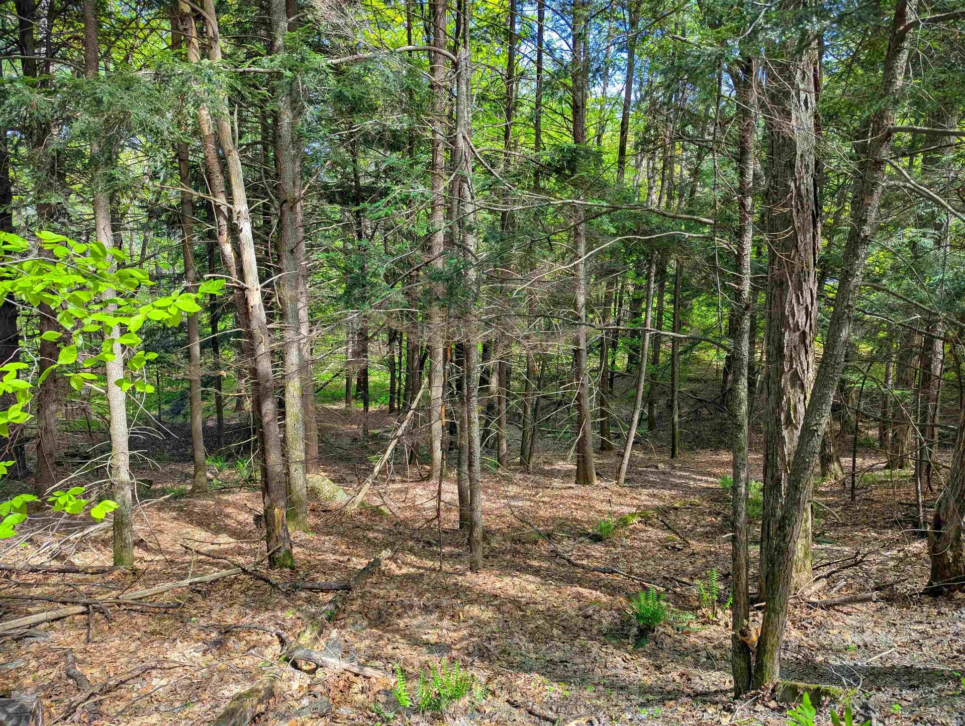 14 Brickyard Road Dover VT 05341