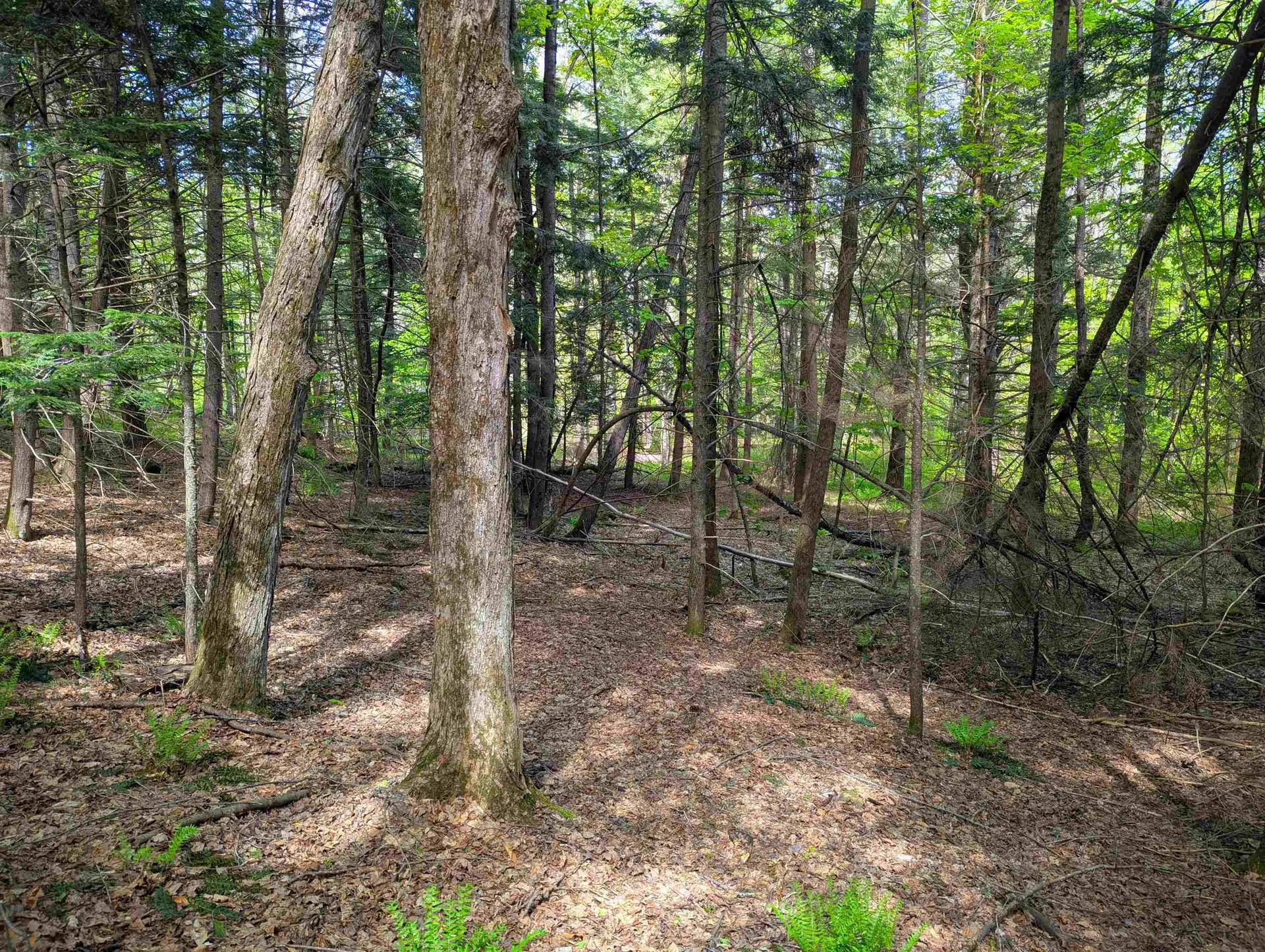 14 Brickyard Road Dover VT 05341