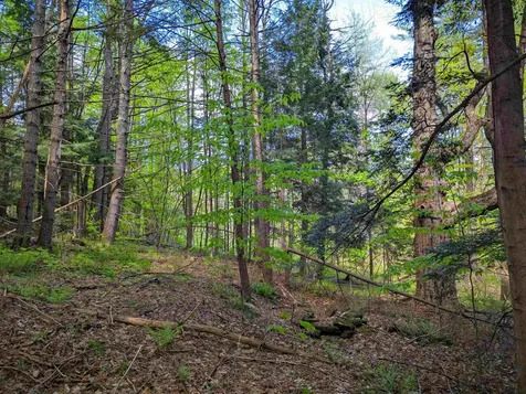 14 Brickyard Road Dover VT 05341