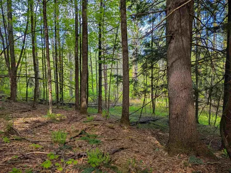 14 Brickyard Road Dover VT 05341