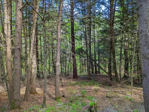 14 Brickyard Road Dover VT 05341