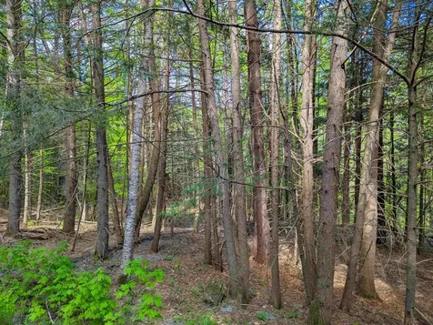 14 Brickyard Road Dover VT 05341