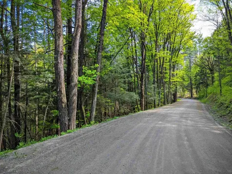 14 Brickyard Road Dover VT 05341