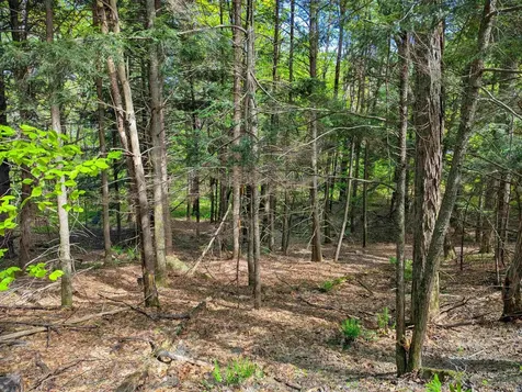 14 Brickyard Road Dover VT 05341