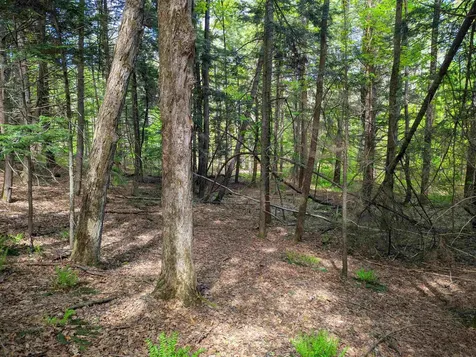 14 Brickyard Road Dover VT 05341